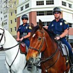 Mounted officers patrol tourist areas and the city center on horseback. The unique perspective of an officer on horseback allows them to deter and detect street crime.