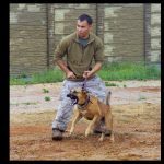 K9 Bodyguards | Canine Training | Photo by Dept. of Defense