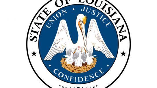 Several new pro-gun laws have gone into effect in Louisiana.