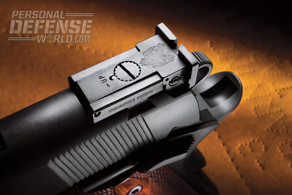 The target style rear sight is fully adjustable and finely calibrated.