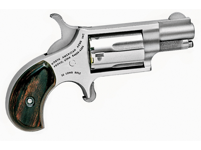 NAA .22 LR Snub, north american arms, north american arms revolver, north american arms concealed carry, concealed carry
