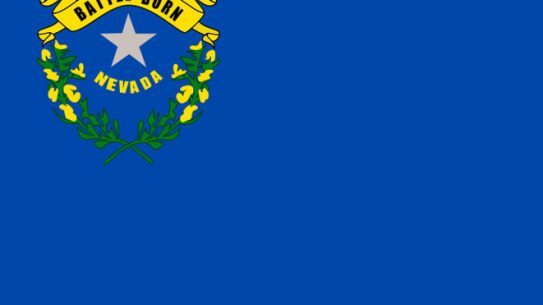 Nevada Background Check, nevada, nevada gun background checks, background check, background checks