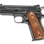rimfire, rimfires, compact rimfire handguns, compact rimfire handgun, rimfire handgun, rimfire handguns, Chiappa 1911-22 Compact