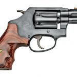rimfire, rimfires, compact rimfire handguns, compact rimfire handgun, rimfire handgun, rimfire handguns, smith & wesson model 351pd