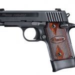 rimfire, rimfires, compact rimfire handguns, compact rimfire handgun, rimfire handgun, rimfire handguns, sig sauer p938
