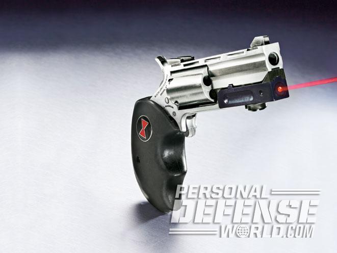 NAA NORTH AMERICAN ARMS Brand IWB Gun Holster for Black Widow Mini Revolver 2" 