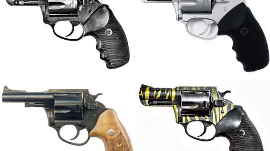 charter arms, charter arms bulldog, charter arms bulldog revolver, bulldog revolver