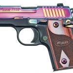 pistol, pistols, designer pistol, designer gun, designer guns, Sig Sauer P238 Rainbow