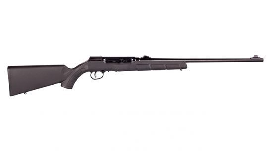 savage arms a22 in 22 lr