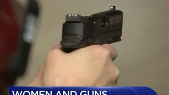 anti-gun homeowner
