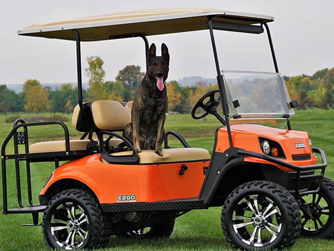Personal Protection Dog golf cart