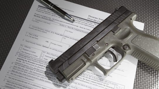 NICS Review Act, fbi nics background checks gun