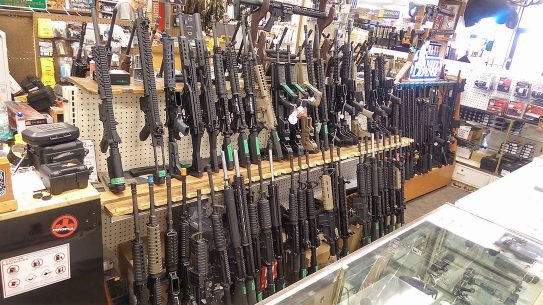 small arms survey gun shop