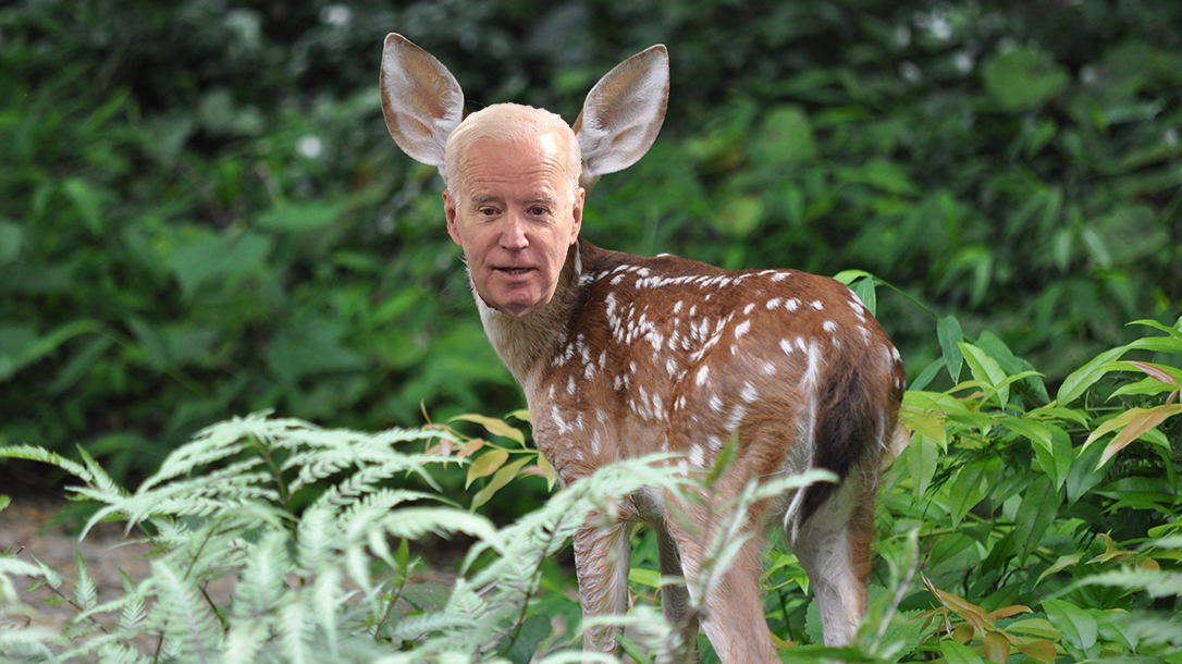 Joe Biden Deer Hunting, Second Amendment